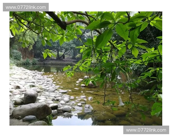 《探索CTYLOL:深入解析这一新兴词汇在现代网络文化中的意义与影响》